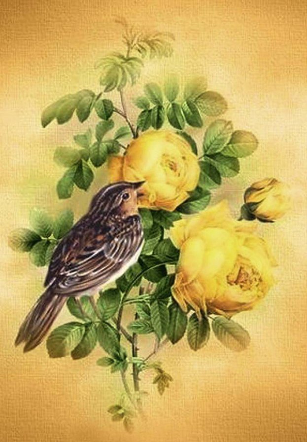 птица на ветке - цветы, красота, розы, птицы - оригинал