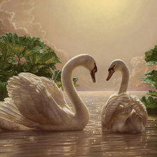 Лебединая пара