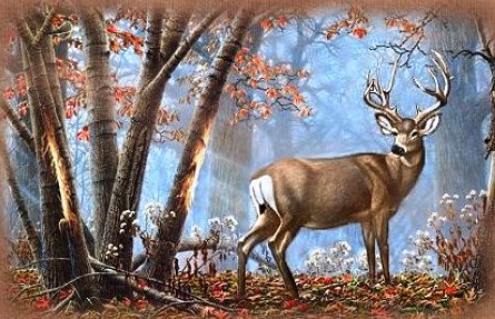 лесной олень - лес, природа, осень, олени, животные, пейзаж - оригинал