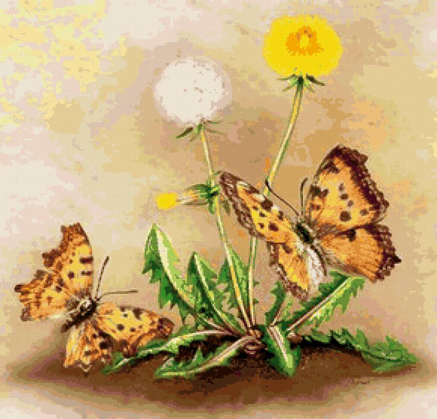 бабочки - бабочки, природа, цветы - предпросмотр
