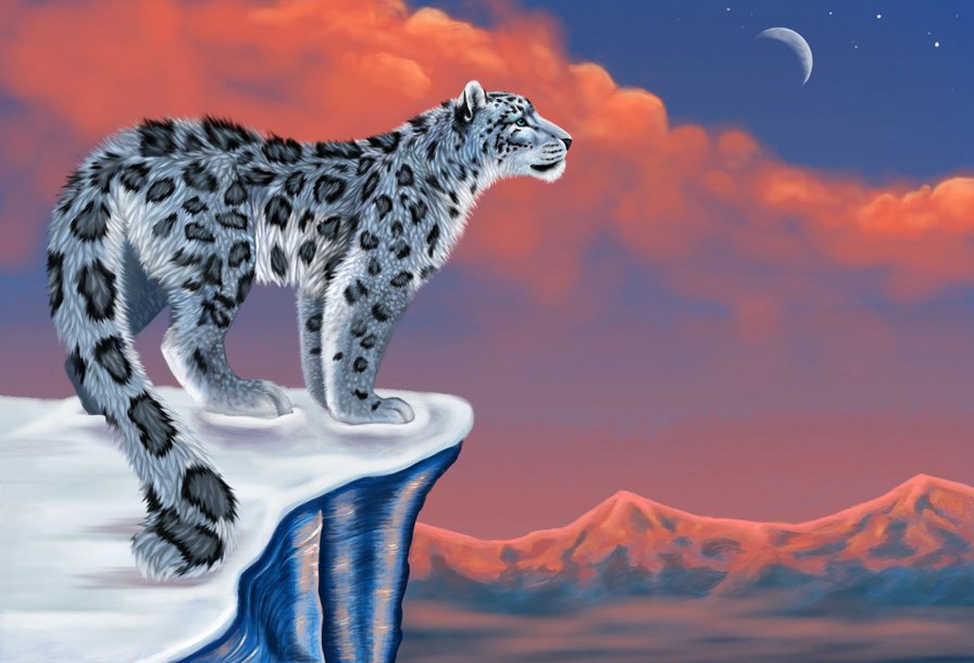 Снежный Барс - дикие кошки, барс, луна - оригинал