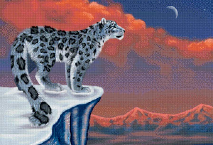 Снежный Барс - дикие кошки, барс, луна - предпросмотр