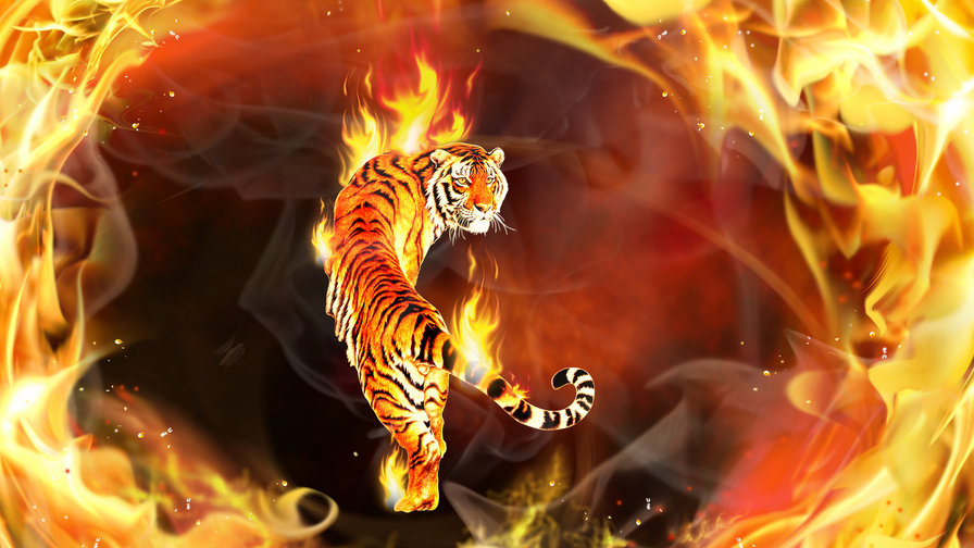 тигр в огне - оригинал