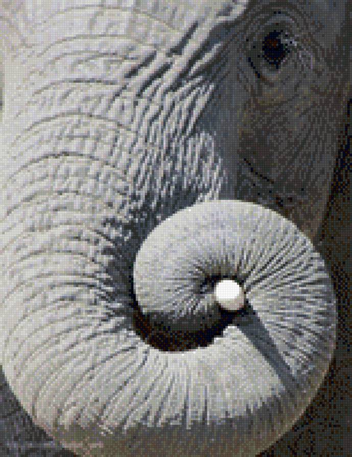 №674493 - слон - предпросмотр