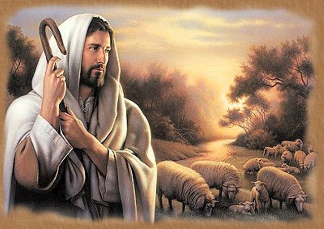 Иисус с овцами - овцы, бог, библия, человек - оригинал