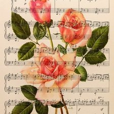 музыка и розы