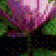 Предпросмотр схемы вышивки «водяные лилии» (№675291)