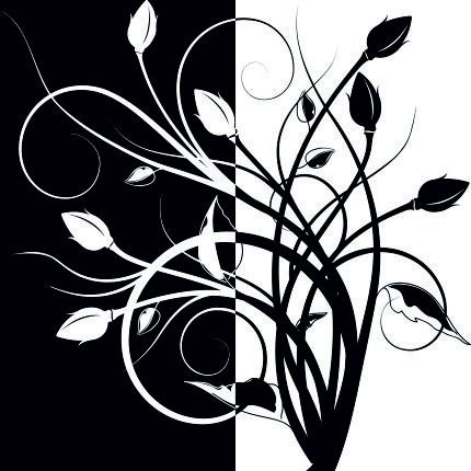 черно-белое-1 - диптих, цветы, монохром, чб - оригинал
