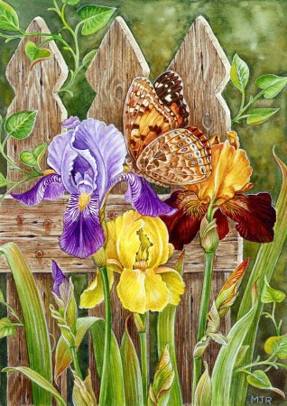 бабочка на ирисах - весна, ирисы, бабочка, цветы - оригинал