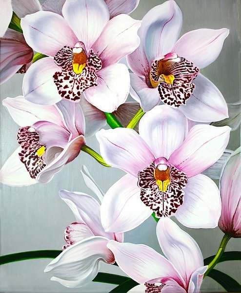 орхидеи - орхидеи, цветы, букет - оригинал