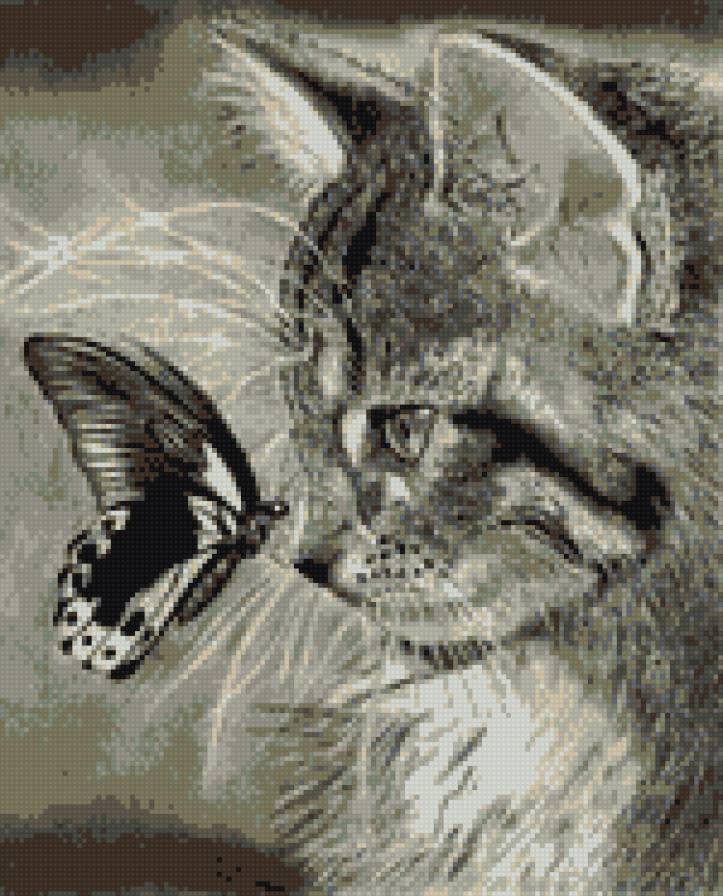 кот и бабочка - котенок, бабочка - предпросмотр