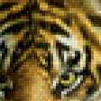 Предпросмотр схемы вышивки «Тигр в джунглях» (№676112)