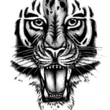 Оригинал схемы вышивки «тигр» (№677899)