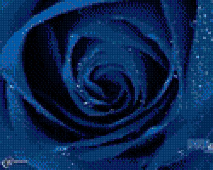 Синяя роза - роза, цветы - предпросмотр
