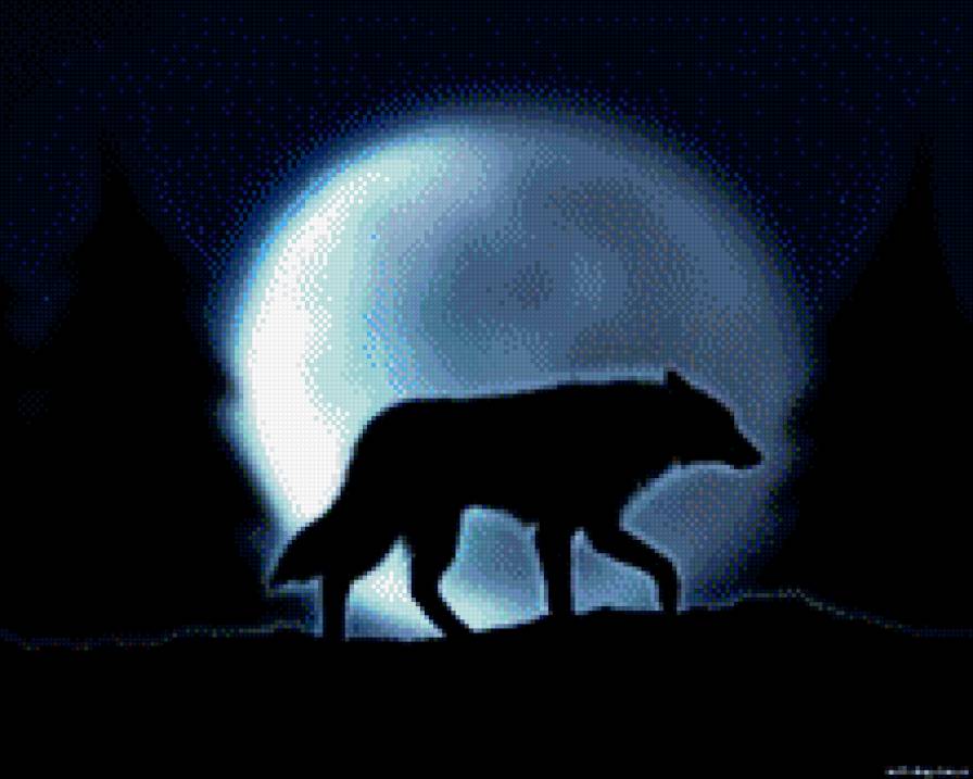 одинокий волк - волк, животные - предпросмотр