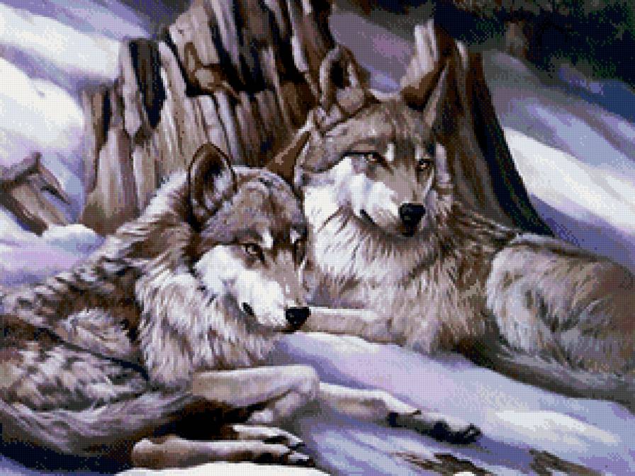 волки - животные, волки, пара, снег - предпросмотр