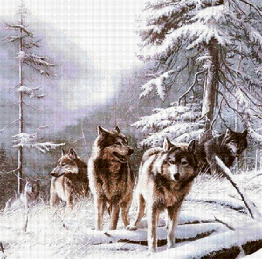 волки - лес, животные, волки, природа, снег - предпросмотр