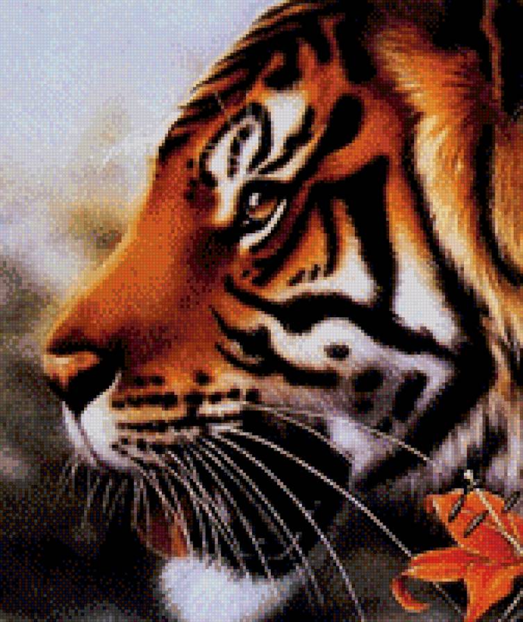 тигр - животные, котик - предпросмотр