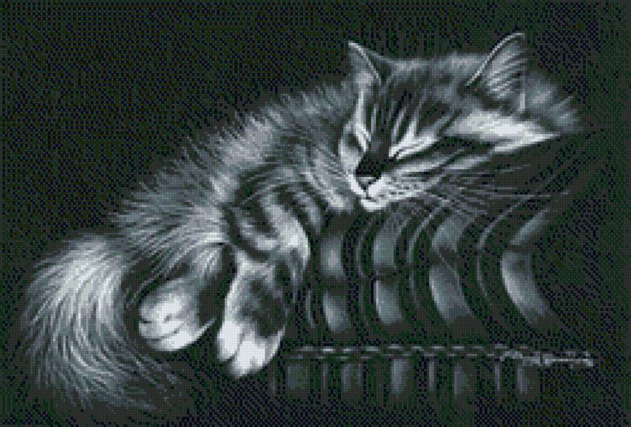 Кот на отдыхе - комната, сон, кот, диван, животное - предпросмотр