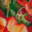 Предпросмотр схемы вышивки «Кактус в цвету» (№680514)
