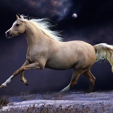 Оригинал схемы вышивки «Белая лошадь» (№680621)