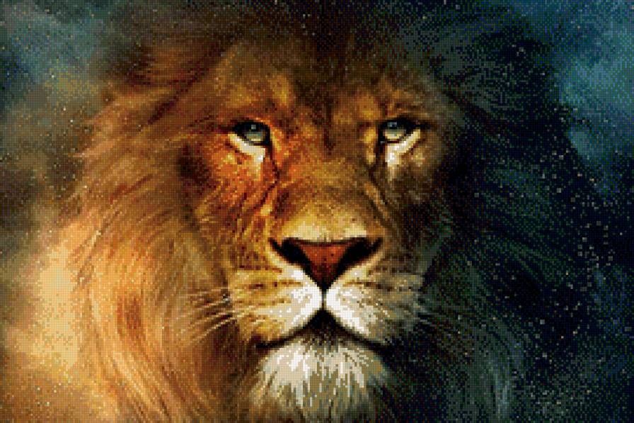Лев - хищник, знак зодиака, животные, лев, зодиак, космос - предпросмотр