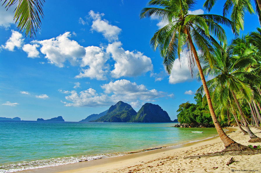 пляж - пальмы, море - оригинал