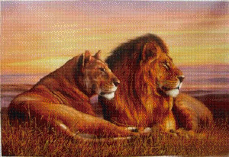 Лев и львица - животные, природа, лев, львица, дикие кошки - предпросмотр