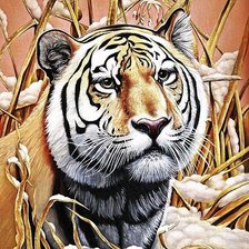 Оригинал схемы вышивки «Грустный тигр» (№681665)