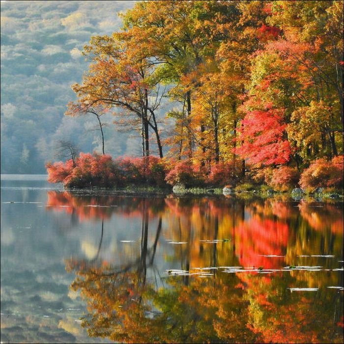 осенний пейзаж - лес, золото, пейзаж, река, природа, озеро, осень - оригинал