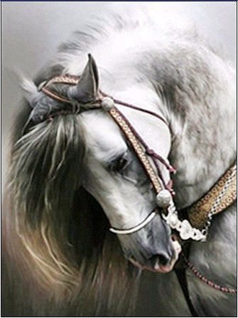 Конь - лошади, животные - оригинал
