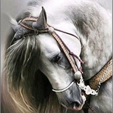 Оригинал схемы вышивки «Конь» (№681733)
