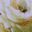 Предпросмотр схемы вышивки «цветы» (№682326)