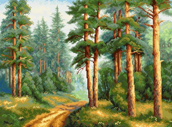 сосновый бор - лес, пейзаж - оригинал