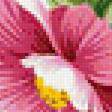 Предпросмотр схемы вышивки «Цветы» (№683116)
