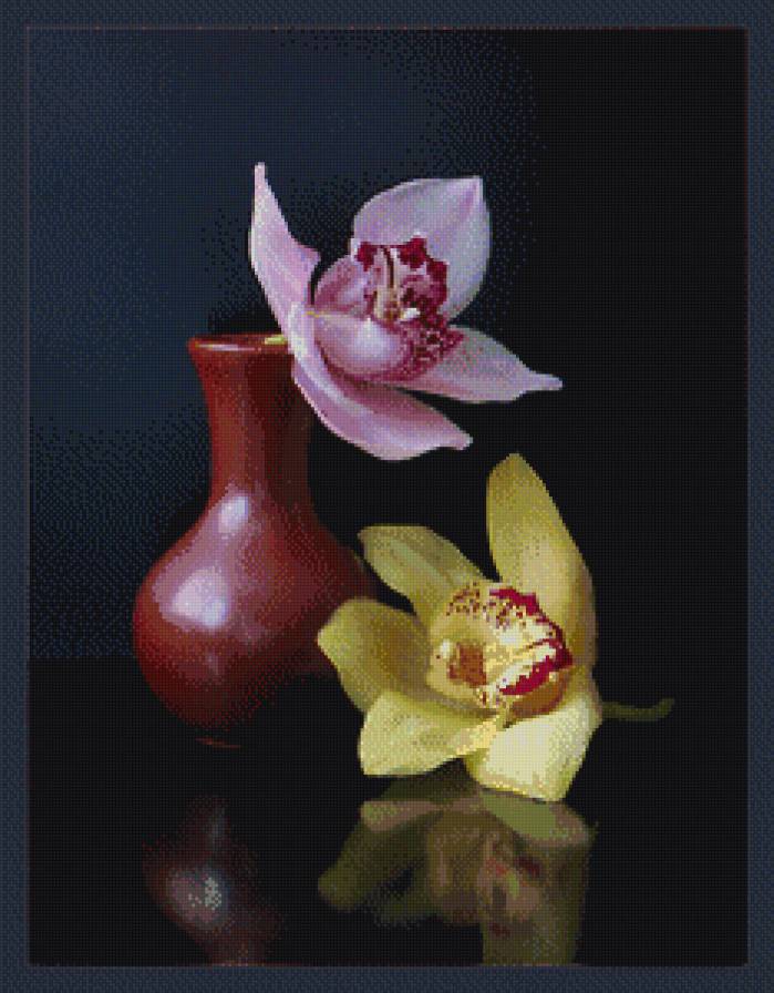 орхидеи - цветы.орхидеи - предпросмотр