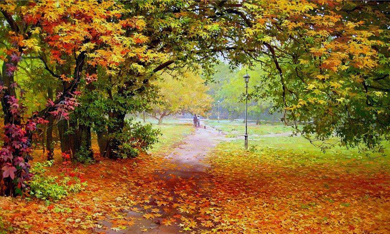 Осенний парк - парк, деревья, осень, листва - оригинал
