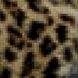 Предпросмотр схемы вышивки «леопард» (№683827)