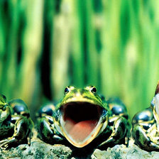 Схема вышивки «Funny frogs»
