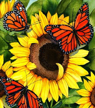 Подушка "Лето" - букет, подсолнухи, цветок, бабочка, цветы, подсолнух, бабочки - оригинал
