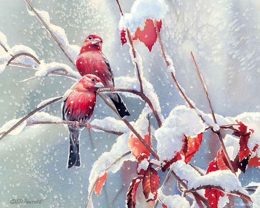 птицы зимой - зима, птицы, снег, пара, снегири - оригинал