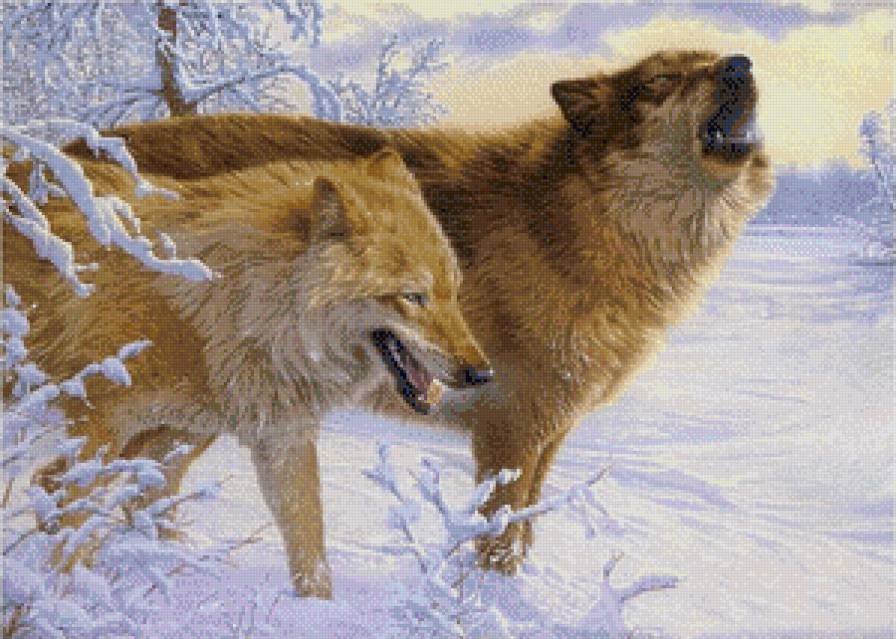 волки - животные пара природа волки - предпросмотр