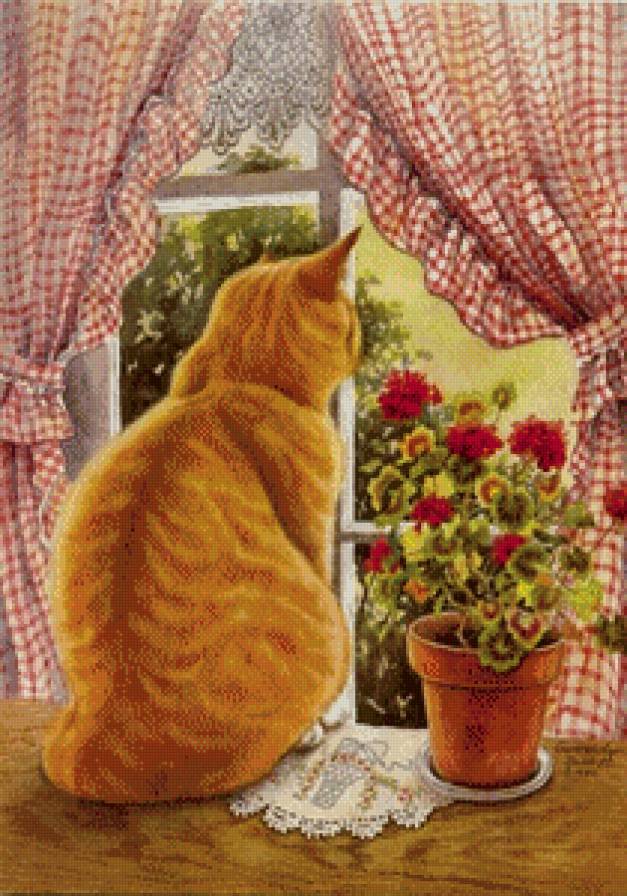 Кот у окна - предпросмотр