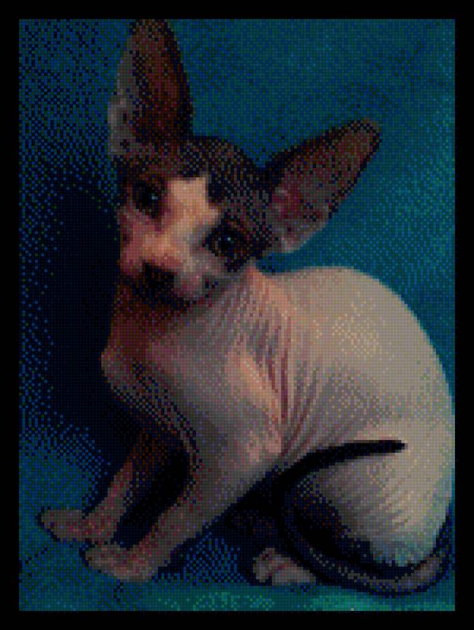 сфинкс - лысая кошка, вышивка крестом, сфинкс - предпросмотр