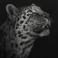 Схема вышивки «леопард»