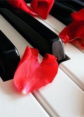 лепестки на клавишах - пианино, лепестки, цветы - оригинал