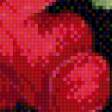 Предпросмотр схемы вышивки «Подушка красные маки 2» (№687862)