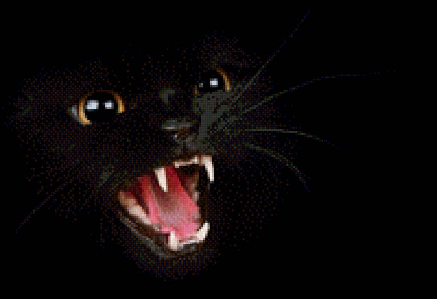 черная кошка - животные, кошки - предпросмотр