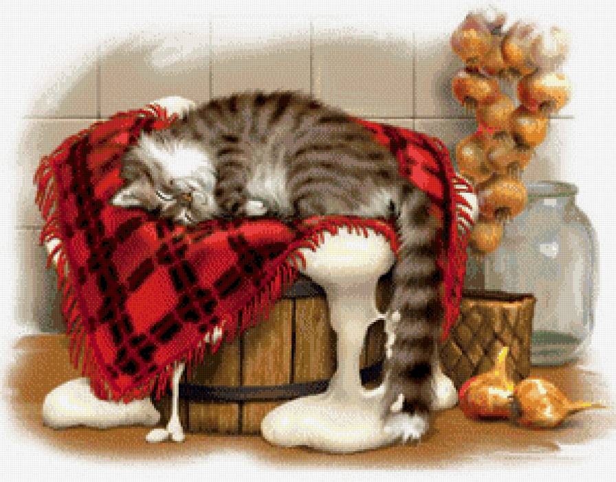 Сладкий сон - сон, кот, кошка, животное, кухня, овощи - предпросмотр