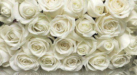 белые розы - розы, букет, белые - оригинал